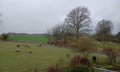 Blick auf die Schafweide