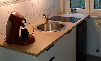 Küchenzeile mit Geschirrspüler in der Wohnküche