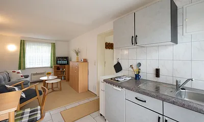 Wohn-Essraum mit Miniküche