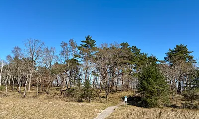 Blick vom Balkon