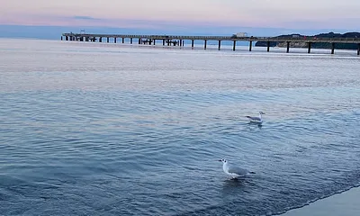 Blick auf die Seebrücke Binz