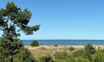 Blick vom Wohnzimmer