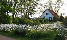 Ansicht von der Strasse aus