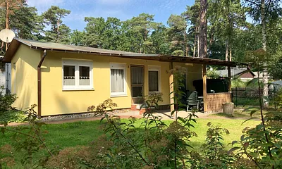 Bungalow mitten im Wald
