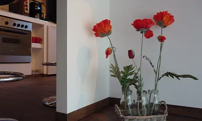 Mohn sind die Blumen der Wohnung an den Wänden, auf dem Geschirr oder der italienischen Keramik.