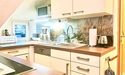 Küchenbereich mit Geschirrspüler, Kühlschrank, Induktionsherd mit  Backofen, Mikrowelle