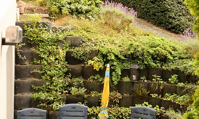 Blick auf die Terasse 