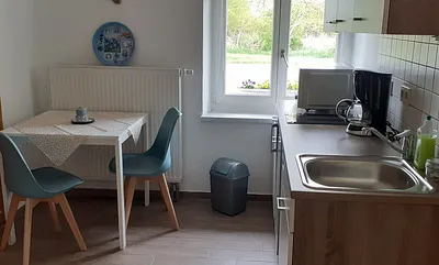 Küche mit Ceranfeld, Kühlschrank, Spülmaschine, Mikrowelle 