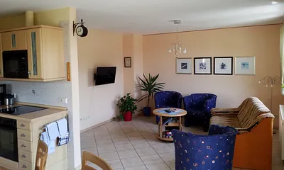 Wohnzimmer mit Küche mit direktem Terrassenzugang zur Südseite