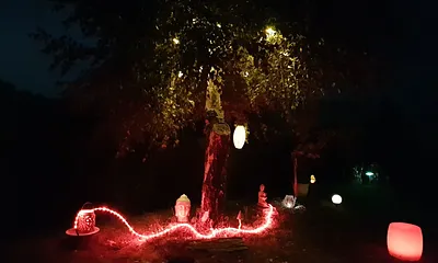 Bei Dunkelheit schaltet im Garten eine eindrucksvolle Illumination an
