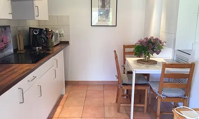 Küche mit Ceranfeld-Mikrowelle und kleinem Backofen