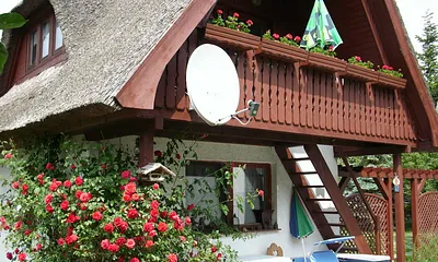 Gartenansicht Wohnung Morgensonne