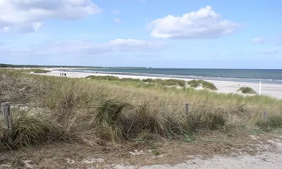Die Prerow Bucht mit dem schneeweißen feinen Sand zählt zu schönsten Stränden der Welt