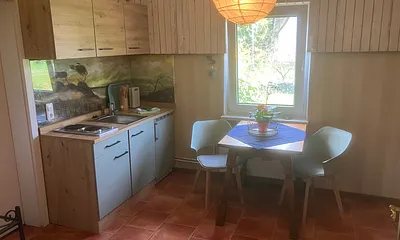 Küche mit Blick in den Garten