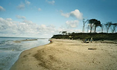 Der Weststrand auf dem Darß