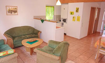 Wohnbereich mit halboffener Küche