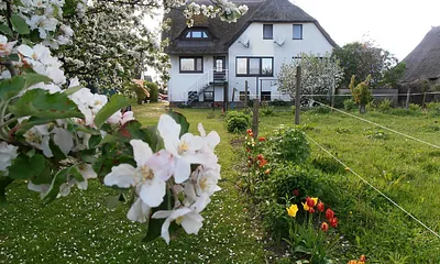 Frühling bei Lowkas