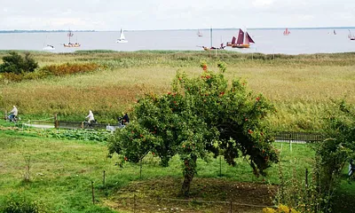 Fahrradweg vor den Boddenwiesen