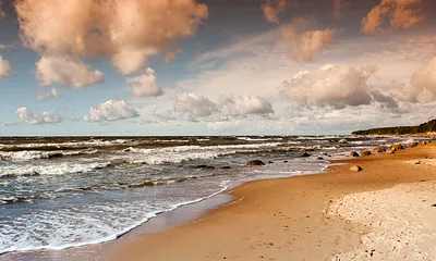 ca. 150m entfernt wurde dieses Foto aufgenommen... die Möve sitzt nicht mehr da...