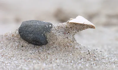 Beobachtung am Strand, vom Wind geformt.