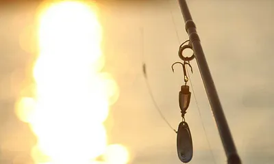 Angeln direkt vor der Haustür