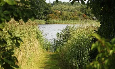 Aussicht Richtung Wasser