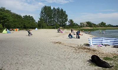 Badebucht bei Gustow, ca. 1500 m von der Ferienanlage entfernt