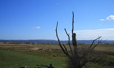 unberührte Boddenlandschaften laden zum Wandern ein
