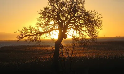 Die Sonne geht auf,über den Saaler Bodden. Gesehen von der Terrasse aus