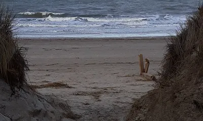 Strandspaziergänge erwünscht? 