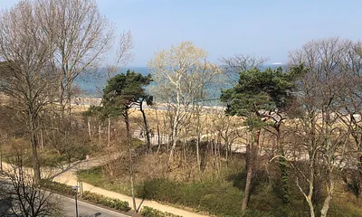 Sommerlicher Ausblick von der Dachterasse