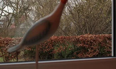 Blick aus dem Wohnzimmerfenster