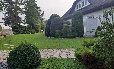 Blick auf das Gaupenfenster zur Wohnung Nr. 2