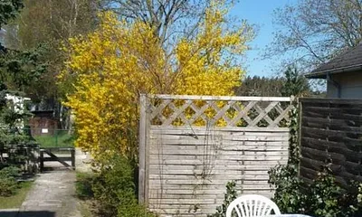 Sonnenterrasse mit Gartenanteil