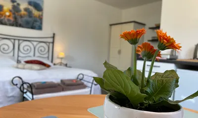 Hell, sauber und gemütlich 