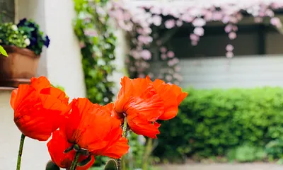 Strandhaus Eingangsbereich 