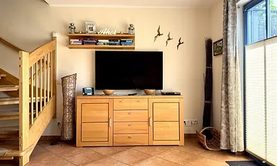 Der 48 Zoll LED-Smart-TV mit Internetzugang und Netflix inklusive