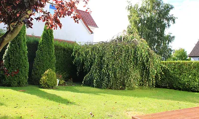 Gemütliche Sitzecke mit Liegewiese zum entspannen
