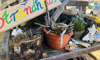 Alles an Deko vom Strand 