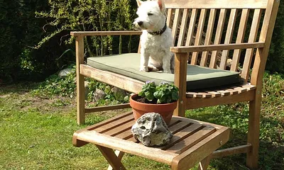 "Wer zuerst kommt ..."