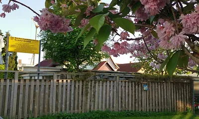 Blick auf den Parkplatz