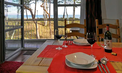 Herrlicher Blick vom Esstisch auf die Ostsee.