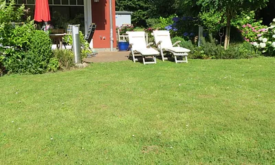 sonniger Garten zum Relaxen