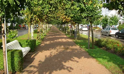 Strandstraße in Baabe