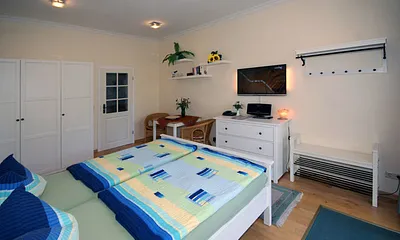 Flat-TV, W-LAN, DVD-Player