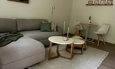Wohnzimmer mit Schlaufcouch