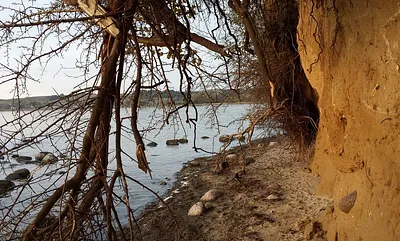 Natur Pur in der Umgebung