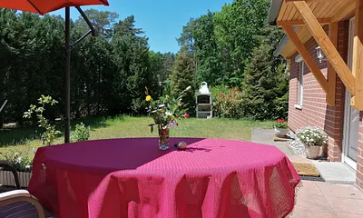 Blick von Terrasse ins Grüne