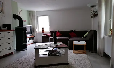 Wohnzimmer mit Kamin und  Schlafcouch