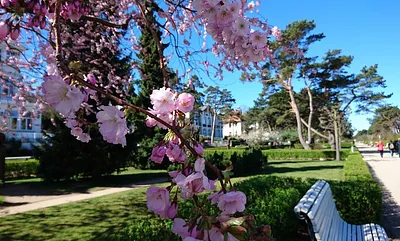 Die Promenade des Ostseebades Zinnowitz
